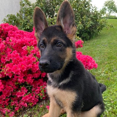 WhatsApp Image 2025-11-07 at 17.23.40