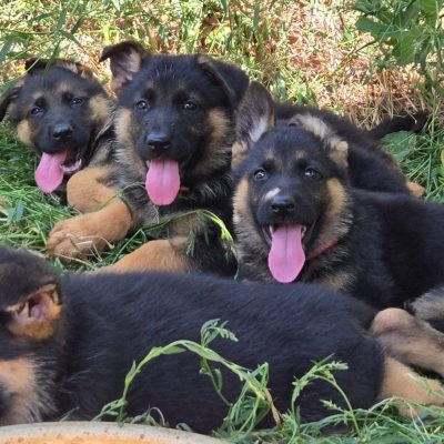 WhatsApp Image 2026-03-06 at 20.12.04